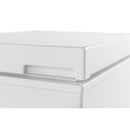  Frigidaire 8.7 cu. ft. Chest Freezer FFFC09M1RW IMAGE 5