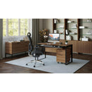 BDI Linea 5802 Bookcase with Double Shelf - Natural Walnut IMAGE 3