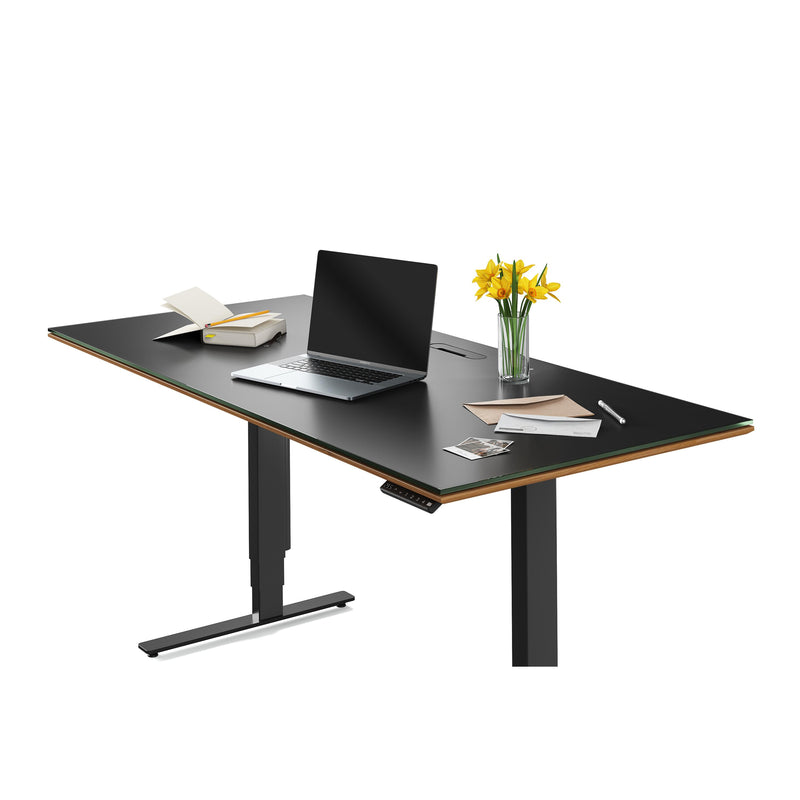 BDI Sequel 6152 Lift Standing Desk - Natural Walnut IMAGE 8